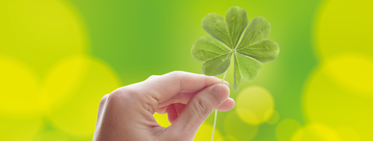 心と発達の相談室　ひだまり