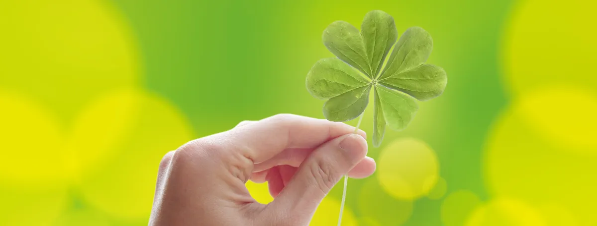 心と発達の相談室 ひだまり