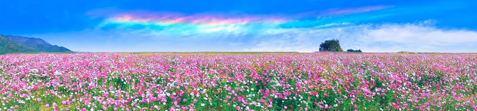 心と発達の相談室　ひだまり